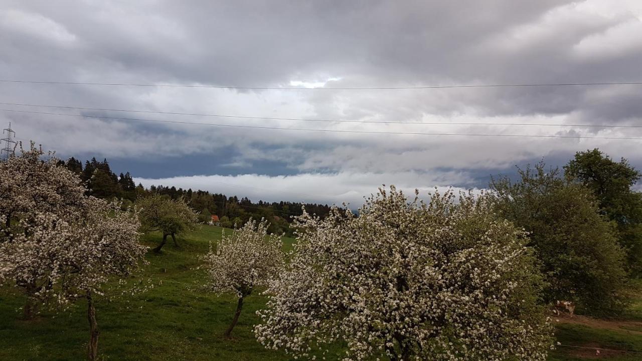 Ferienwohnungen Klimbacher فولفسبورغ المظهر الخارجي الصورة