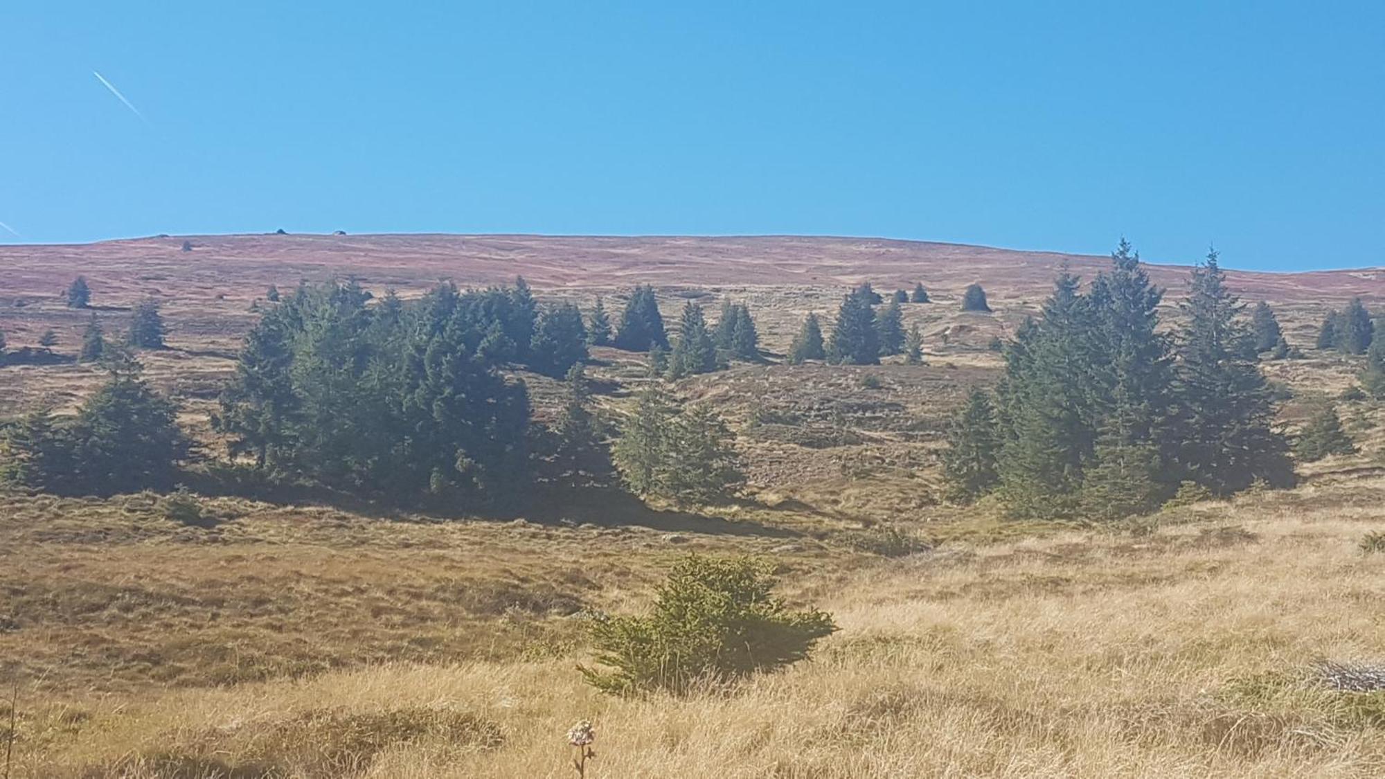 Ferienwohnungen Klimbacher فولفسبورغ الغرفة الصورة