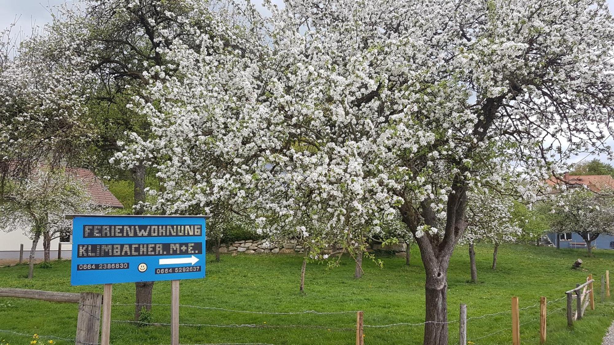 Ferienwohnungen Klimbacher فولفسبورغ الغرفة الصورة